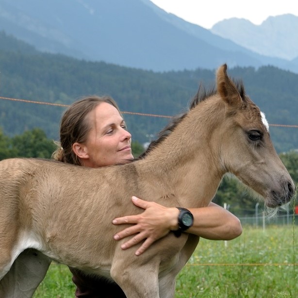 Vera mit Fohlen Katschan