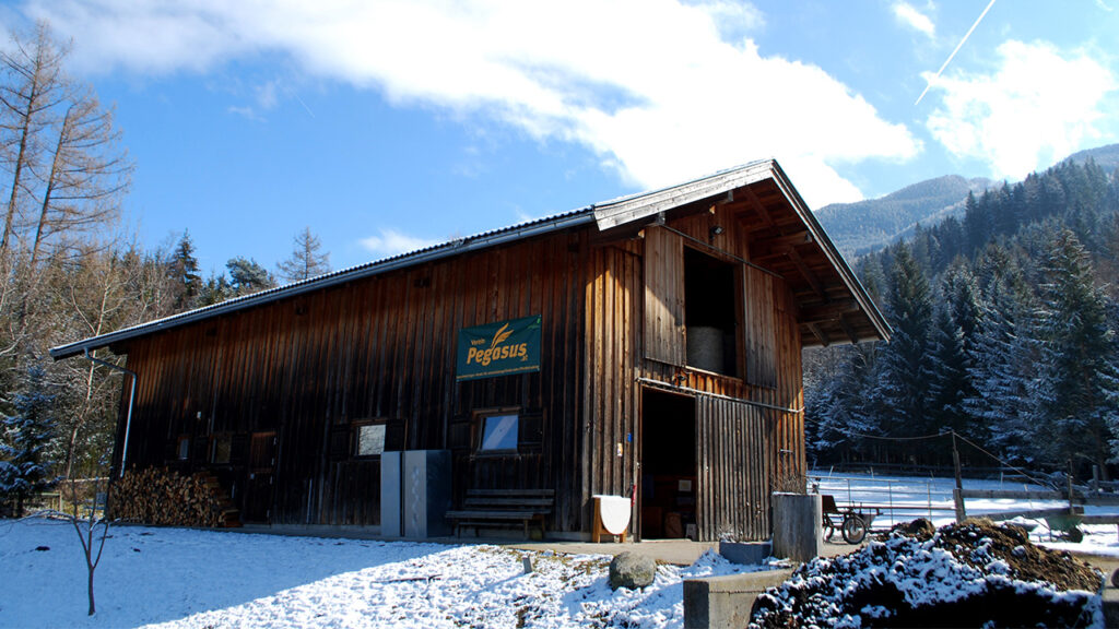 der Verein
